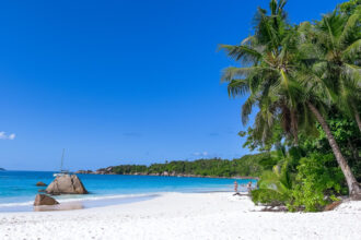 Découvrir la culture créole en Martinique et aux îles Grenadines : un voyage authentique