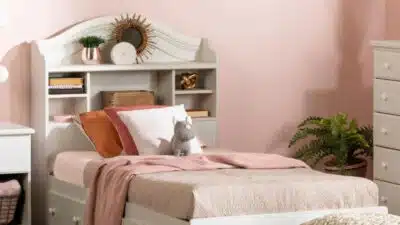 Désinsectisation professionnelle : un mode de traitement efficace contre les punaises de lit !
